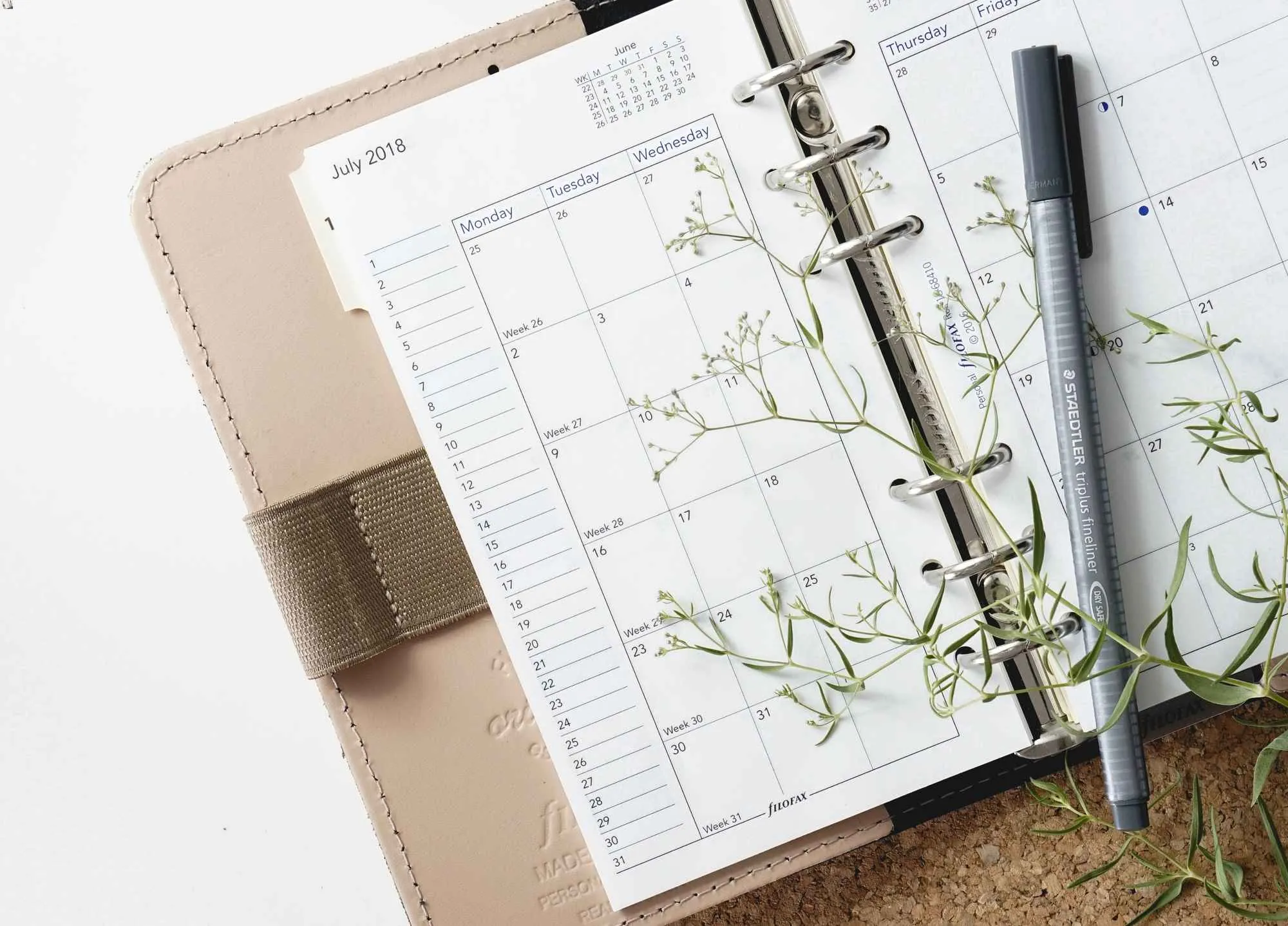 Looking for the Best To Do List App of 2022? Here Are the Top 10