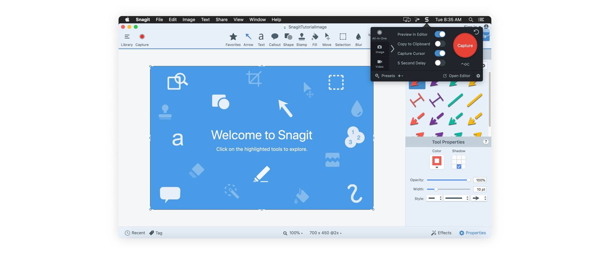 purpose of snagit tool